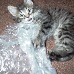 Meet your Posher, F share